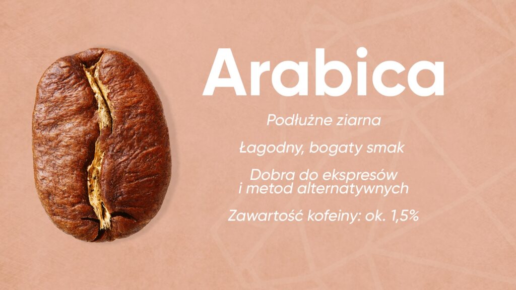 Arabica