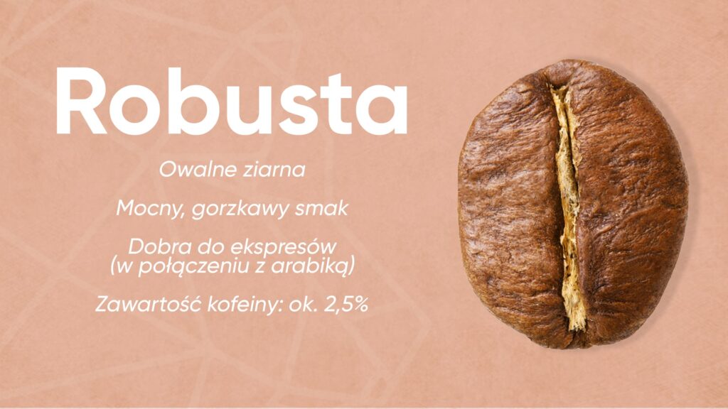 Robusta